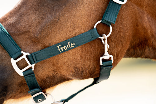 Halfter "Lieblingspony"