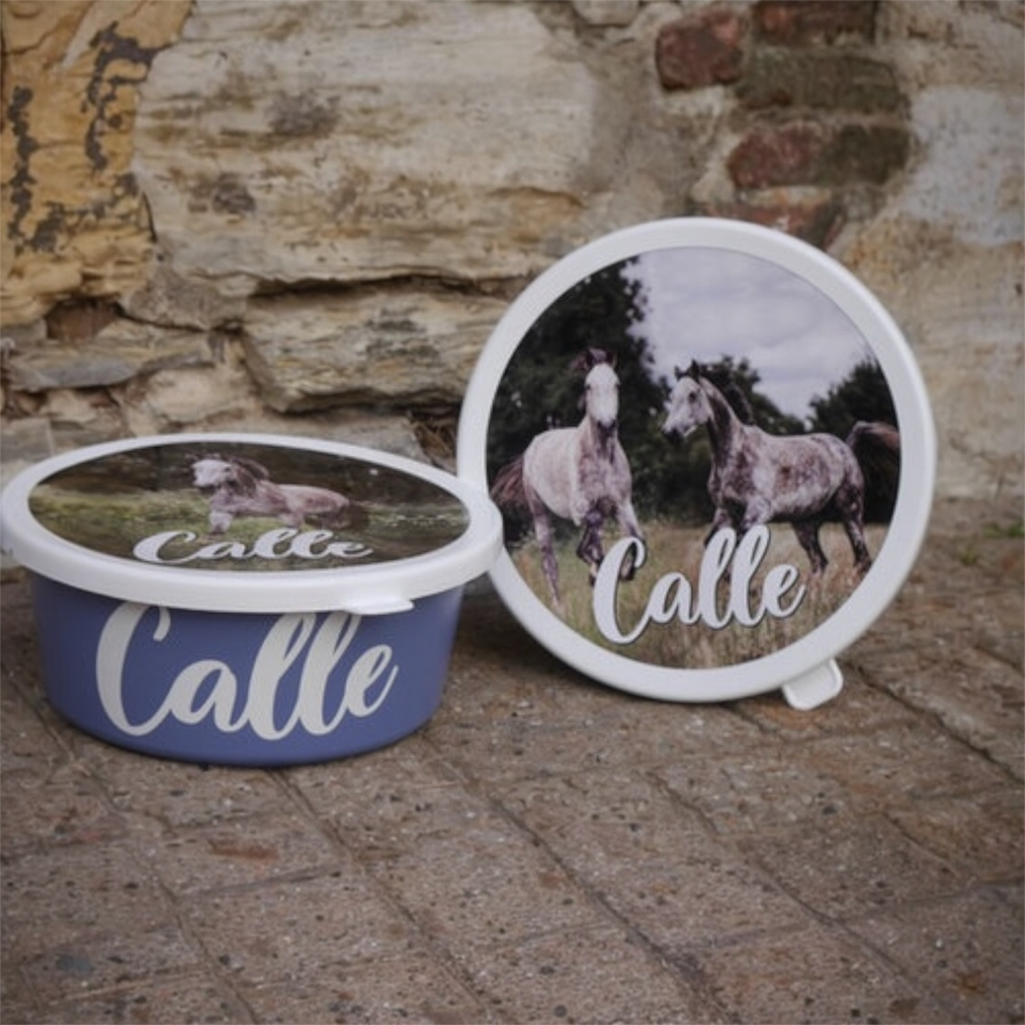 Futterschüssel "Picture"