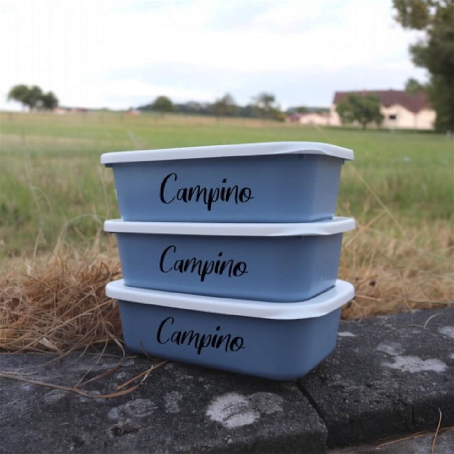 Futteraufbewahrungsboxen "Color"