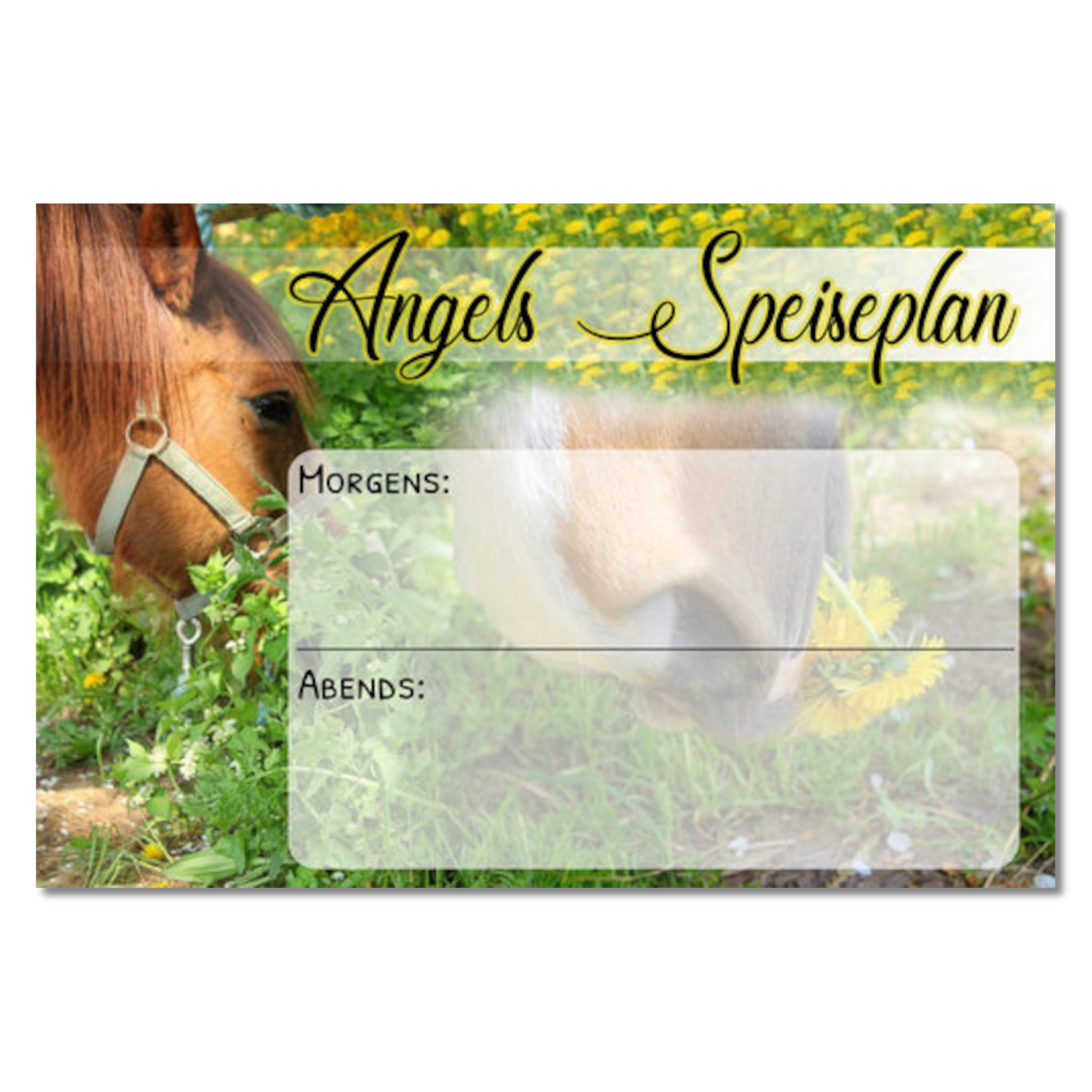 Futterplan "Whiteboard Picture"