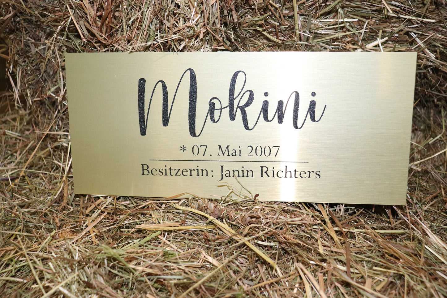 Boxenschild "Simple"