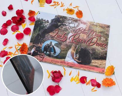 Boxenschild "Aludibond"