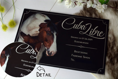 Boxenschild "Alu Brushed"