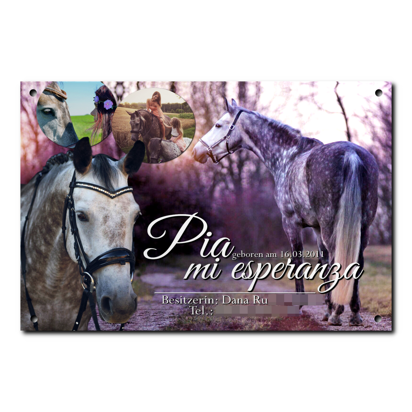 Boxenschild "Acrylglas"