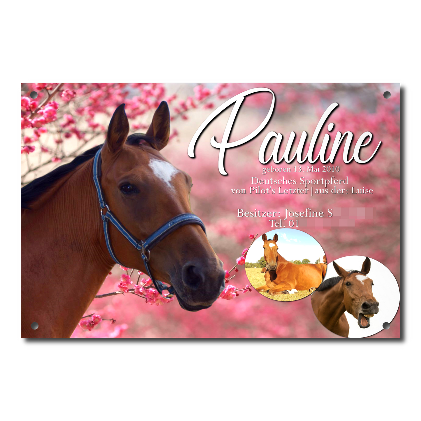 Boxenschild "Aludibond"