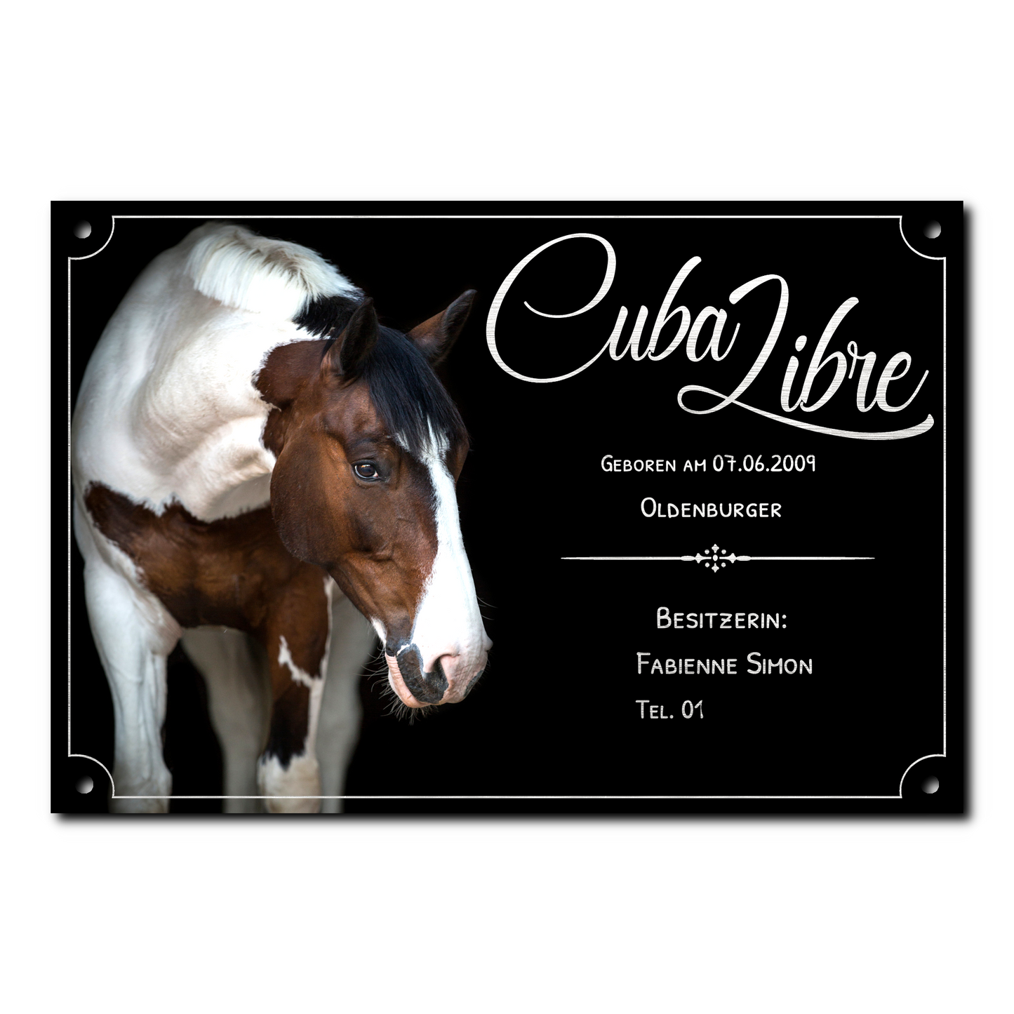 Boxenschild "Alu Brushed"