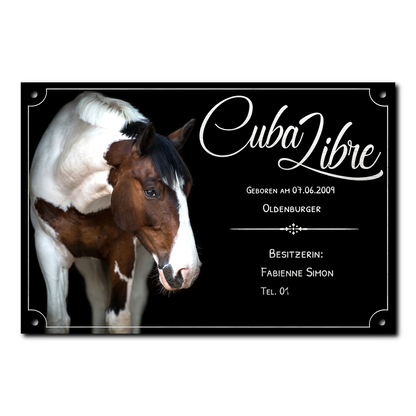 Boxenschild "Alu Brushed"