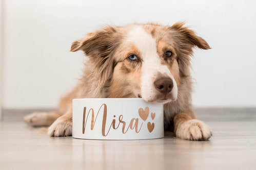 Hundenapf "Keramik weiß"