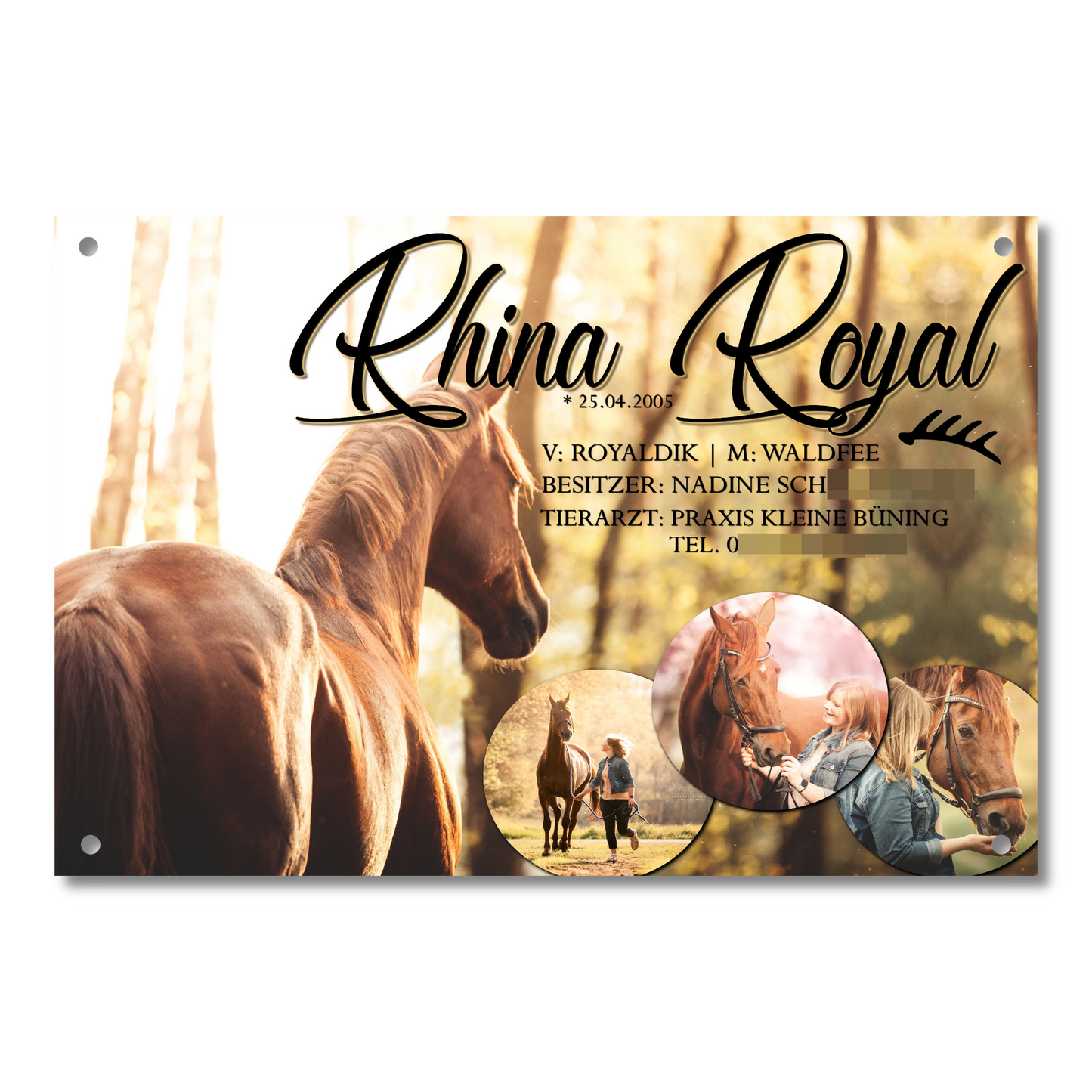 Boxenschild "PVC Forex"