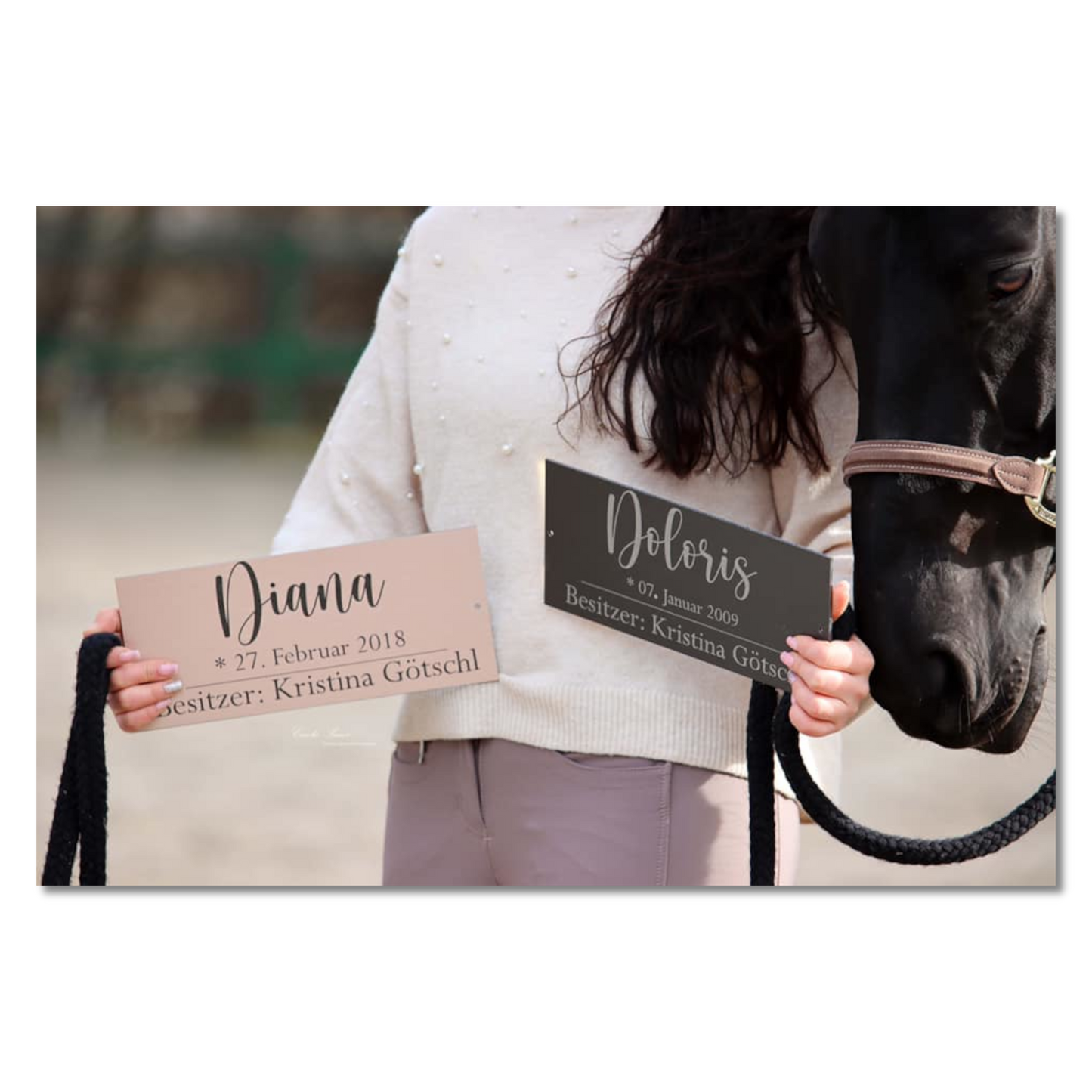 Boxenschild "Simple"