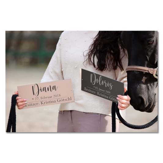 Boxenschild "Simple"