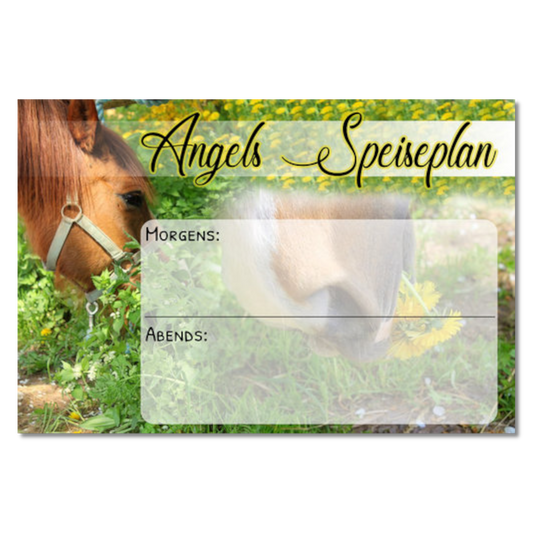 Futterplan "Whiteboard Picture"