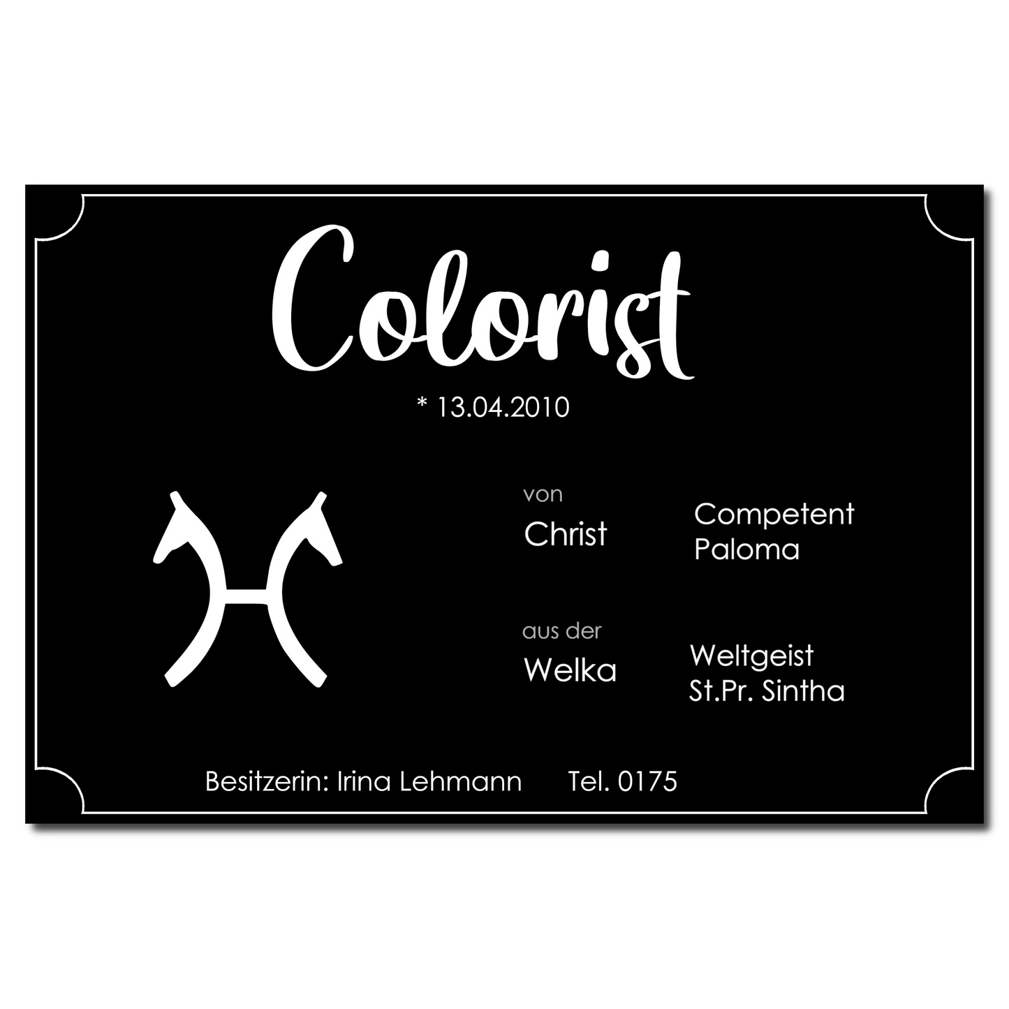 Boxenschild "No Picture"